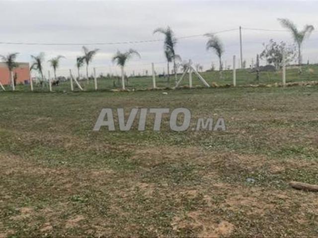 Propriété vente à El Ma, Gharb-Chrarda-Beni Hssen