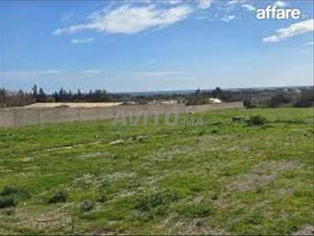 Propriété vente à El Ma, Gharb-Chrarda-Beni Hssen