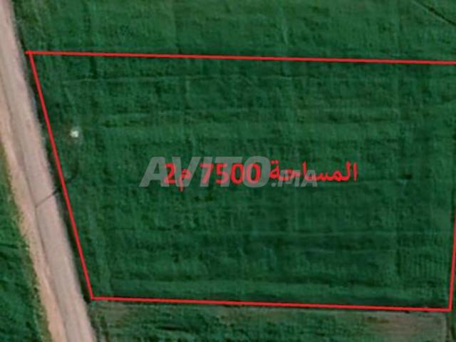 Propriété vente à El Ma, Gharb-Chrarda-Beni Hssen