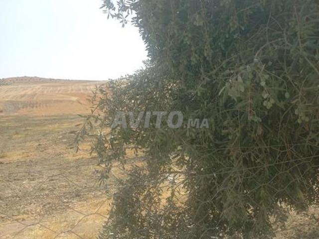 Propriété vente à Meknès