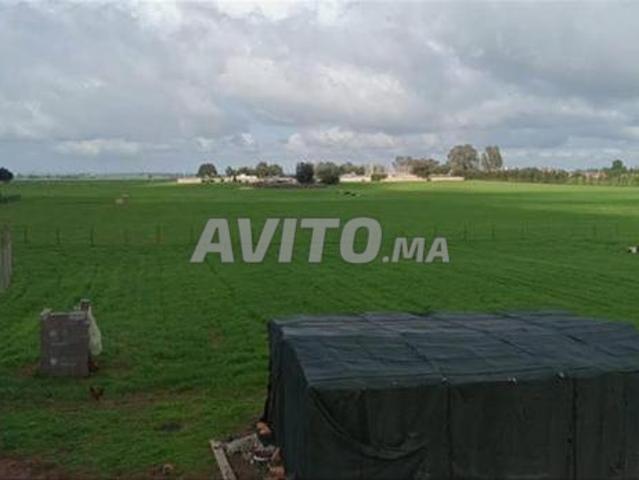 Propriété vente à El Ma, Gharb-Chrarda-Beni Hssen