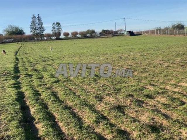 Propriété vente à El Ma, Gharb-Chrarda-Beni Hssen