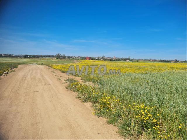 Propriété vente à El Ma, Gharb-Chrarda-Beni Hssen