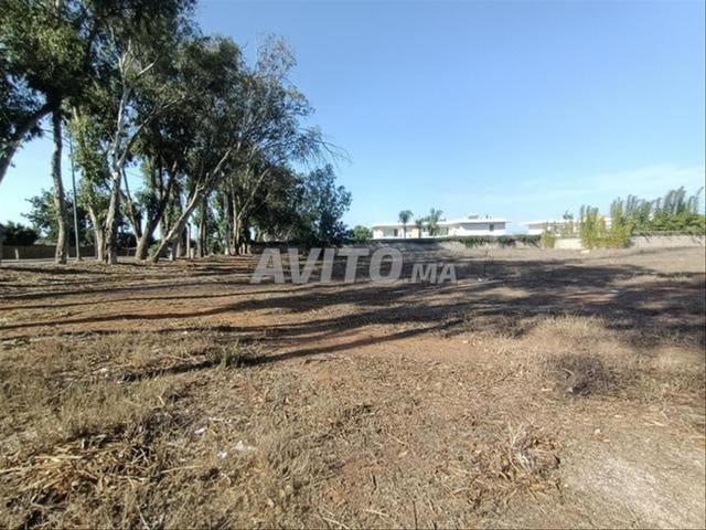 Propriété vente à El Ma, Gharb-Chrarda-Beni Hssen