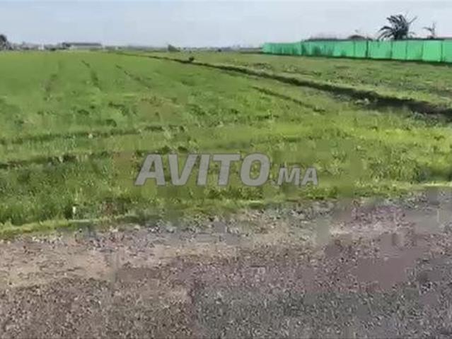 Propriété vente à El Ma, Gharb-Chrarda-Beni Hssen