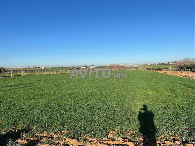 Propriété vente à El Ma, Gharb-Chrarda-Beni Hssen