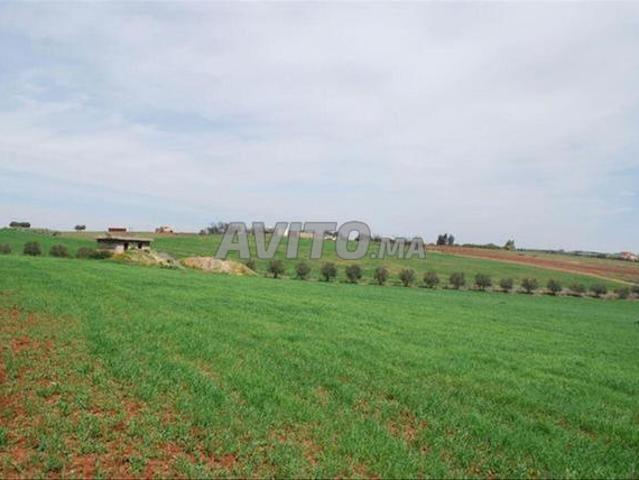Propriété vente à El Ma, Gharb-Chrarda-Beni Hssen
