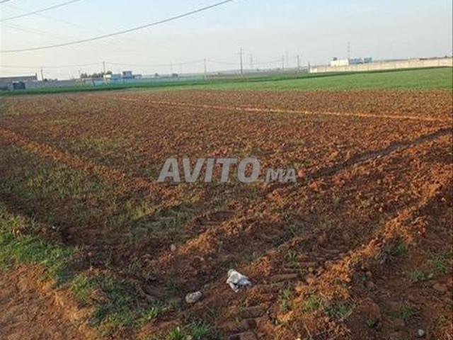 Propriété vente à El Ma, Gharb-Chrarda-Beni Hssen