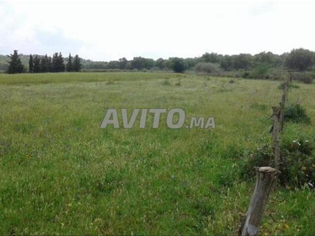 Propriété vente à El Ma, Gharb-Chrarda-Beni Hssen