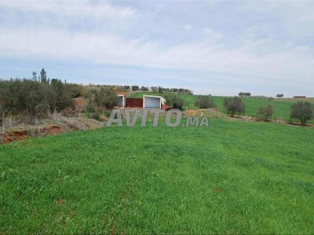 Propriété vente à El Ma, Gharb-Chrarda-Beni Hssen