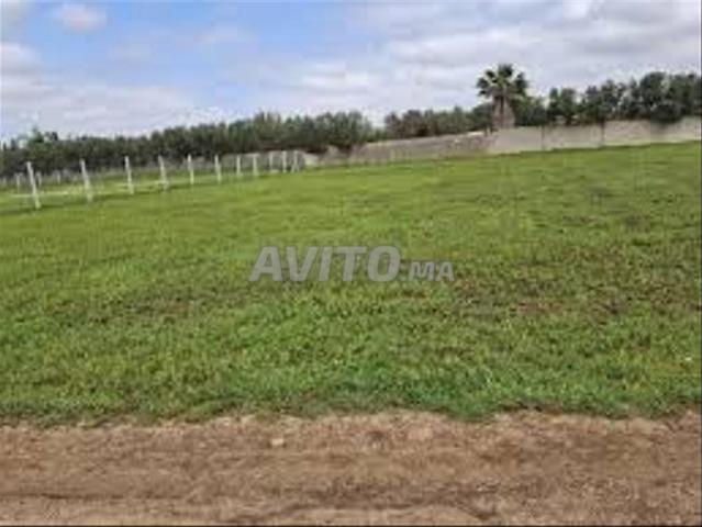Propriété vente à El Ma, Gharb-Chrarda-Beni Hssen