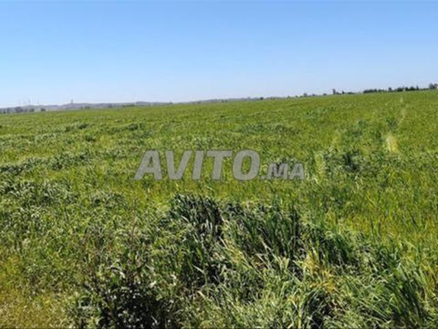Propriété vente à El Ma, Gharb-Chrarda-Beni Hssen