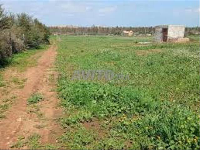 Propriété vente à El Ma, Gharb-Chrarda-Beni Hssen