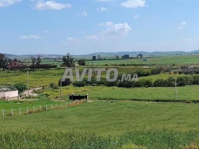 Propriété vente à El Ma, Gharb-Chrarda-Beni Hssen