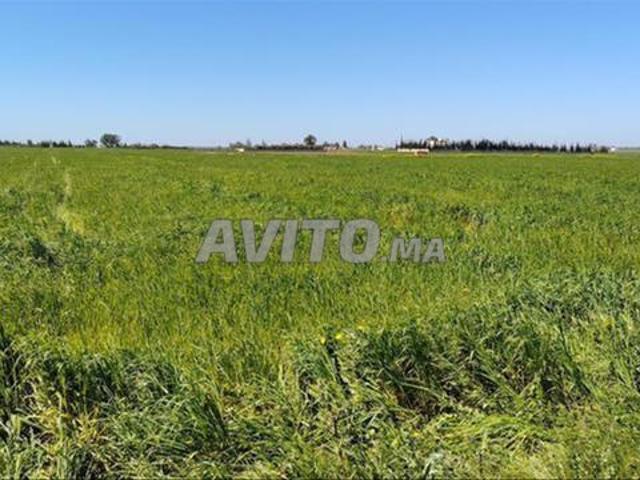 Propriété vente à El Ma, Gharb-Chrarda-Beni Hssen