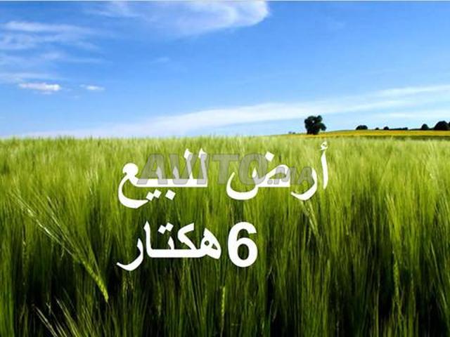 Propriété vente à El Ma, Gharb-Chrarda-Beni Hssen