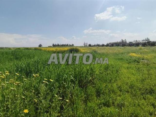 Propriété vente à El Ma, Gharb-Chrarda-Beni Hssen