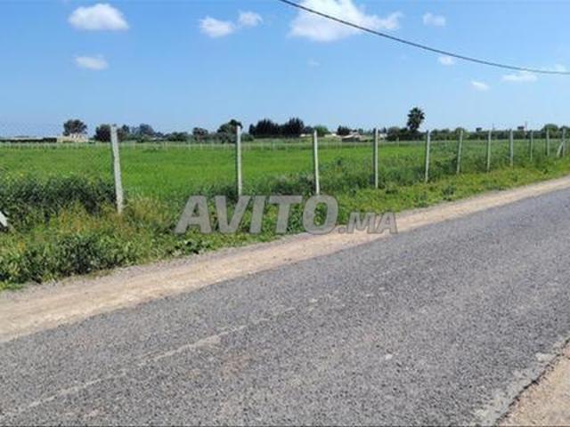 Propriété vente à El Ma, Gharb-Chrarda-Beni Hssen