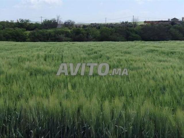 Propriété vente à El Ma, Gharb-Chrarda-Beni Hssen