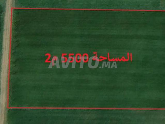 Propriété vente à El Ma, Gharb-Chrarda-Beni Hssen