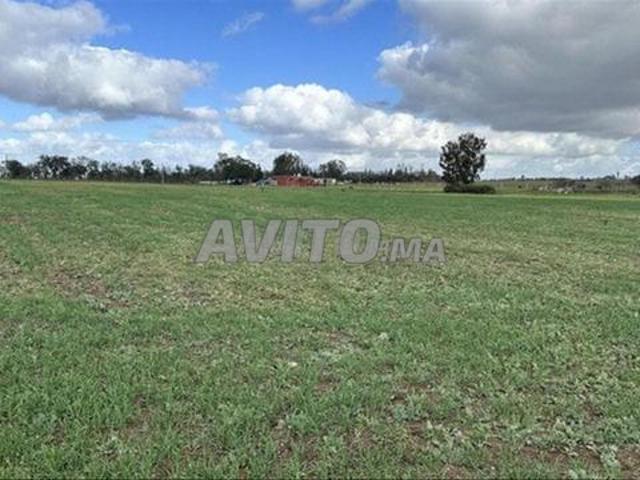 Propriété vente à Chtouka ⵛⵜⵓⴽⴰ شتوكة, Province d'El Jadida إقليم الجديدة
