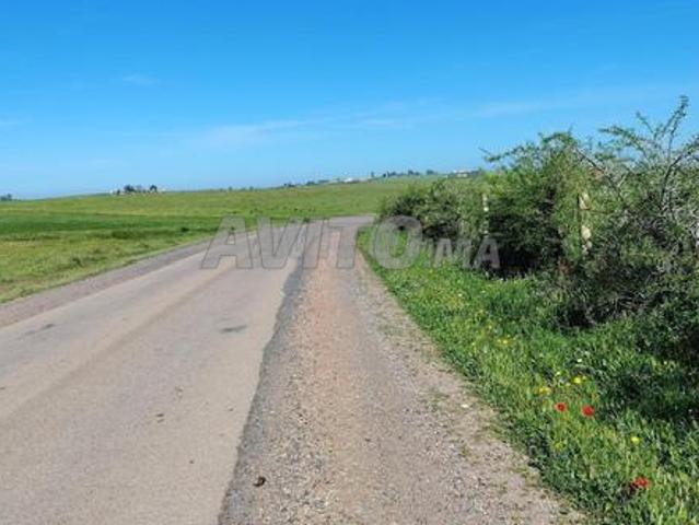 Propriété vente à El Ma, Gharb-Chrarda-Beni Hssen