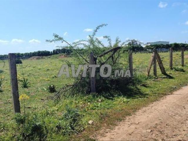 Propriété vente à El Ma, Gharb-Chrarda-Beni Hssen