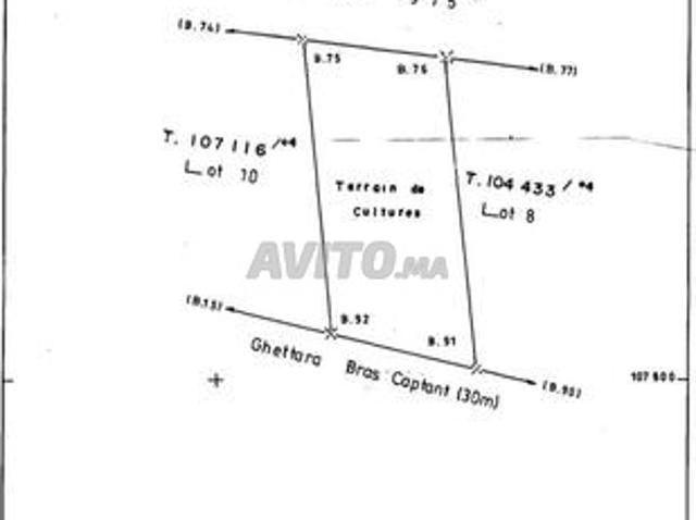Propriété vente à Al Haouz, L'Oriental