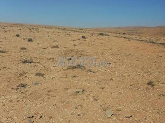 Propriété vente à Guelmim