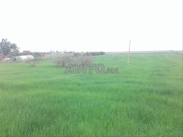 Propriété vente à El Ma, Gharb-Chrarda-Beni Hssen