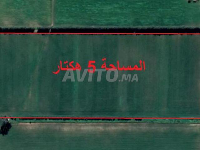 Propriété vente à El Ma, Gharb-Chrarda-Beni Hssen