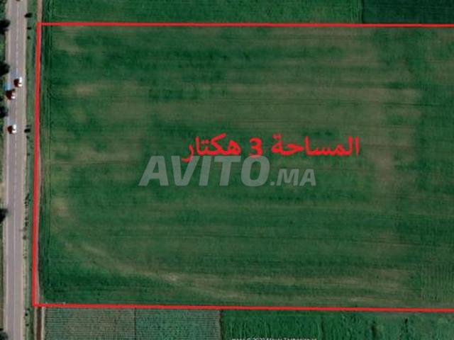 Propriété vente à El Ma, Gharb-Chrarda-Beni Hssen