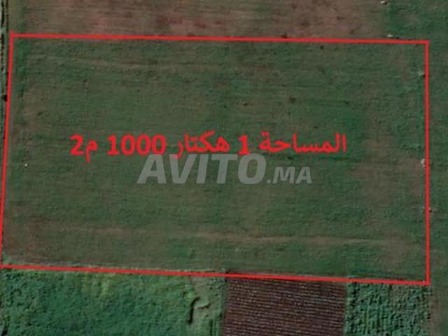 Propriété vente à El Ma, Gharb-Chrarda-Beni Hssen