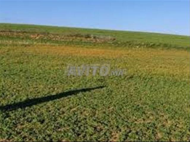 Propriété vente à El Ma, Gharb-Chrarda-Beni Hssen