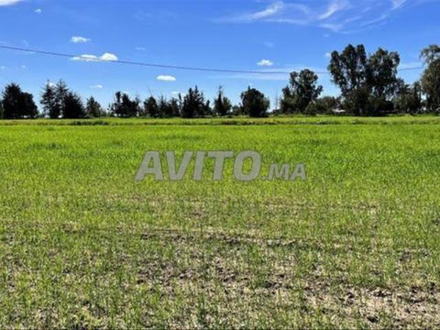 Propriété vente à El Ma, Gharb-Chrarda-Beni Hssen