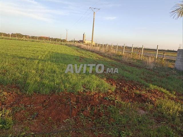 Propriété vente à El Ma, Gharb-Chrarda-Beni Hssen