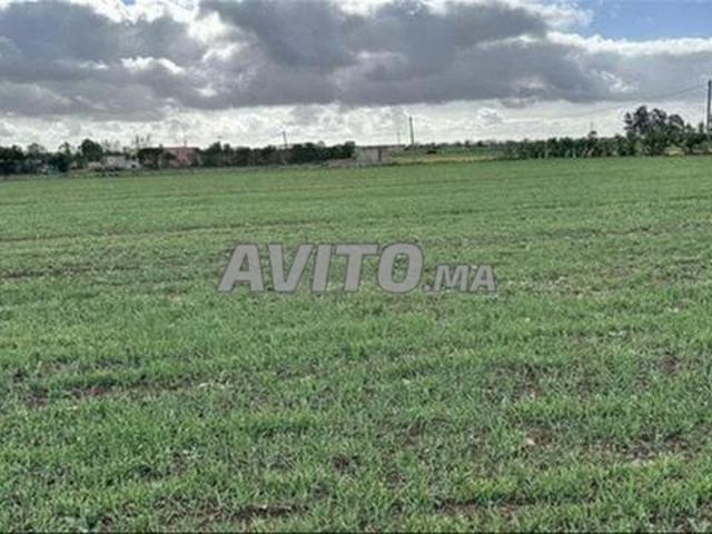 Propriété vente à El Ma, Gharb-Chrarda-Beni Hssen