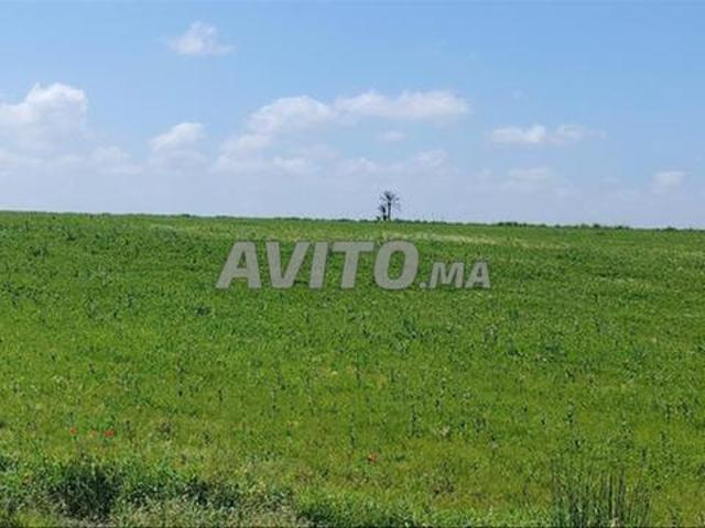 Propriété vente à El Ma, Gharb-Chrarda-Beni Hssen