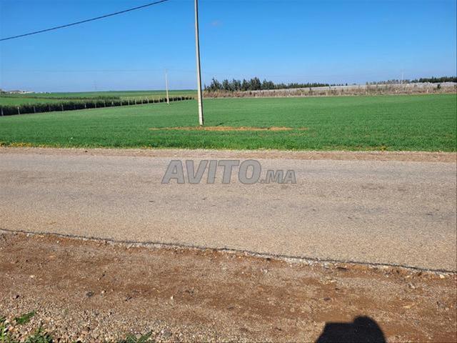 Propriété vente à El Ma, Gharb-Chrarda-Beni Hssen