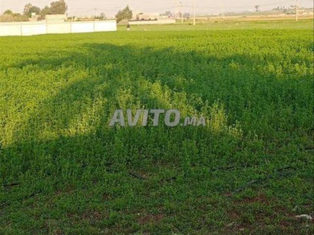 Propriété vente à El Ma, Gharb-Chrarda-Beni Hssen