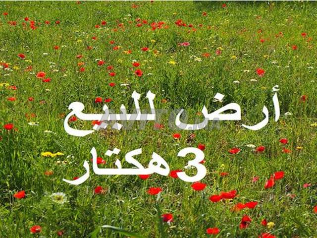 Propriété vente à El Ma, Gharb-Chrarda-Beni Hssen