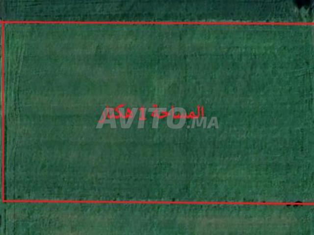 Propriété vente à El Ma, Gharb-Chrarda-Beni Hssen