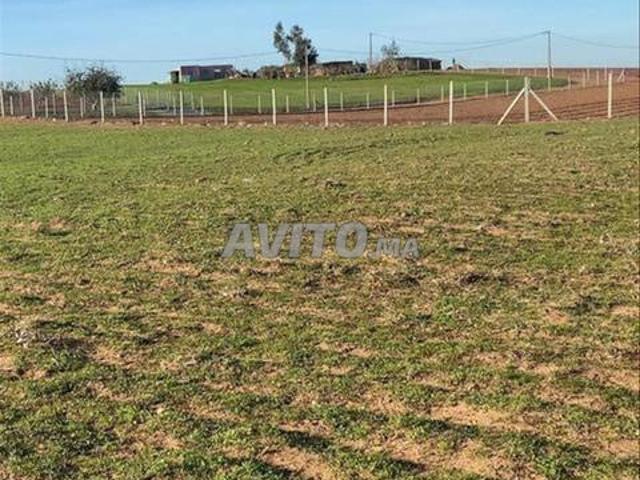 Propriété vente à El Ma, Gharb-Chrarda-Beni Hssen