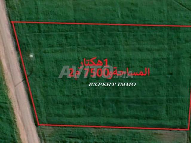 Propriété vente à El Ma, Gharb-Chrarda-Beni Hssen