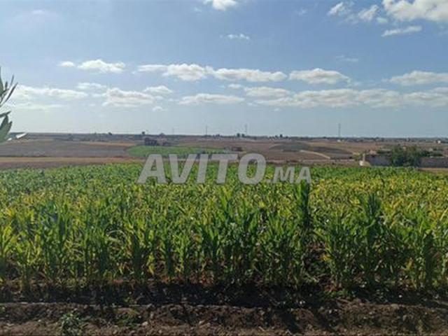 Propriété vente à El Ma, Gharb-Chrarda-Beni Hssen