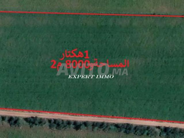 Propriété vente à El Ma, Gharb-Chrarda-Beni Hssen