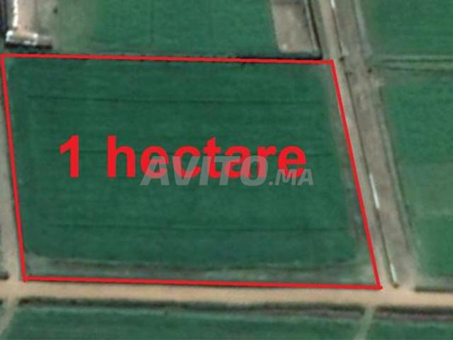 Propriété vente à El Ma, Gharb-Chrarda-Beni Hssen