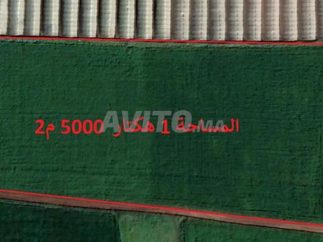 Propriété vente à El Ma, Gharb-Chrarda-Beni Hssen