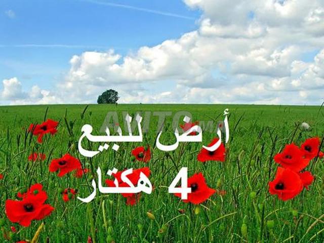 Propriété vente à El Ma, Gharb-Chrarda-Beni Hssen
