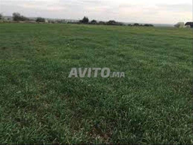 Propriété vente à El Ma, Gharb-Chrarda-Beni Hssen